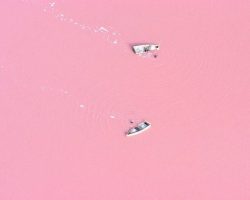 Ավստրալիա Լիճը ունի վարդագույն երանգի ջուր ։