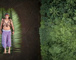 Sony World Photography Awards ֆոտոմրցույթում հաղթած կադրերը: