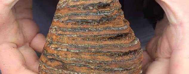 Մեծ Բրիտանիայում  մամոնտի ատամ են  գտել