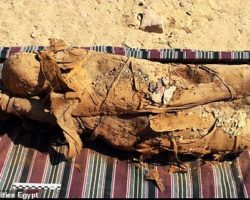 Եգիպտոսում գտել են նոր դամբարան, որում 30 մումիա է հայտնաբերվել