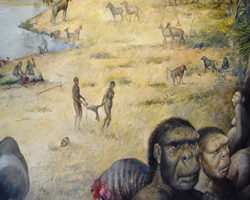 Գիտնականները Եթովպիայում հայտնաբերել են հնագույն «կապկամարդու» մնացորդներ