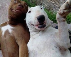 Յուրահատուկ և անմոռանալի՝ 2016-ի Selfie-ները