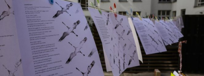 «Պատշգամբ, կյանք, արվեստ»․ Բեռլինում ավելի քան 50 արվեստագետ միացել է պատշգամբներում հանրային ցուցահանդեսի նախագծին