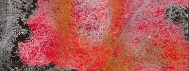 Գյումրեցի արվեստագետը Կաննում արժանացել է մրցանակի