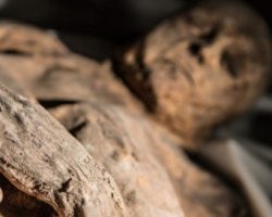 Կանադայում մոտ 50 հազար տարեկան մումիաներ են գտել