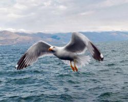 ՀՊՄՀ ուսանողը՝ ֆոտոմրցույթի հաղթող