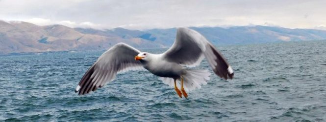 ՀՊՄՀ ուսանողը՝ ֆոտոմրցույթի հաղթող