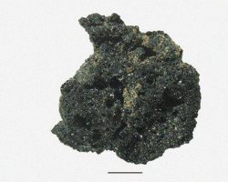 Գտել են աշխարհի ամենահին հացը