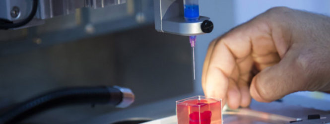 Բժիշկները 3D-տպիչով մարդկային սրտի յուրահատուկ մոդել են «տպել»