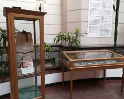 Ցուցադրություն՝ «Ազնավուրի մանկության թատրոնը»