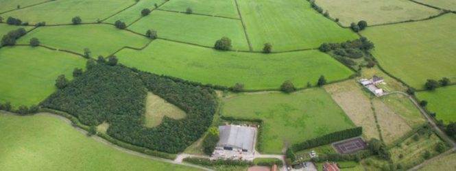 Ամենագեղեցիկ սիրո պատմությունը