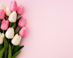 Շնորհավոր Ապրիլի 7