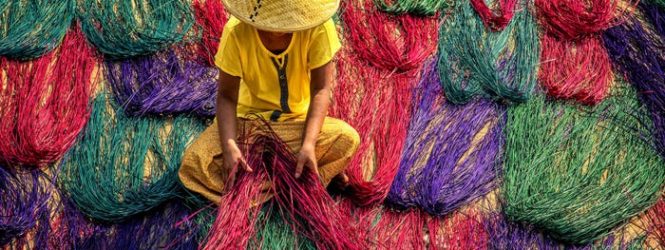 «Գույների խաղ». Colorful 2019 մրցույթին ներկայացված լուսանկարները՝ ֆոտոշարով