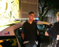 5 միլիոն դոլարի վնաս Տեխասի Արվեստի թանգարանին