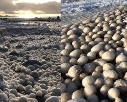 Ֆինլանդիայի լողափերից մեկը պատվել է արտասովոր սառցե գնդիկներով
