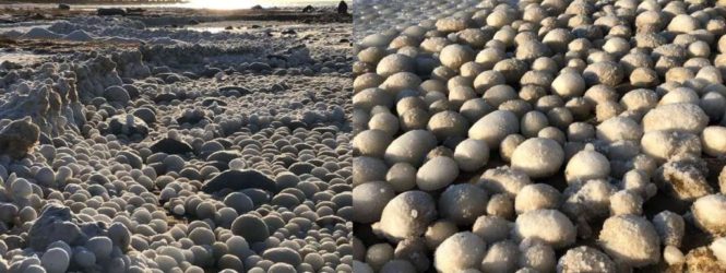 Ֆինլանդիայի լողափերից մեկը պատվել է արտասովոր սառցե գնդիկներով