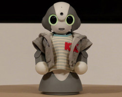 Kibiro նորագույն ռոբոտը