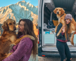 Աղջիկը հեռացել է աշխատանքից՝ ֆուրգոնով ճանապարհորդելու համար