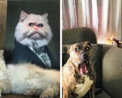 Ամերիկյան ընկերությունը ընտանի կենդանիներին պատկերում է 19-րդ դարի արիստոկրատների տեսքով