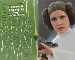 Եգիպտացորենի դաշտում հայտնվել է արքայադուստր Լեայի պատկերը