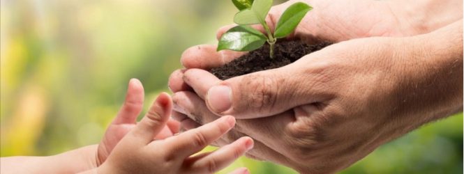 Այսօր շրջակա միջավայրի համաշխարհային օրն է