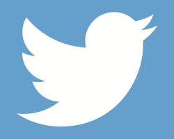 Նորույթ  Twitter-ում