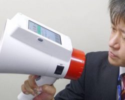 Ճապոնական եռալեզու նորույթը