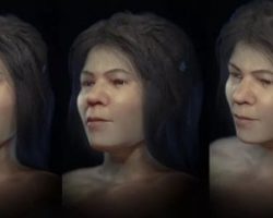 Կինը՝ 31000 տարի առաջ