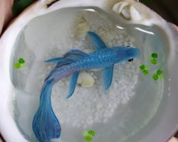 3 D  պատկերներ՝ ճապոնացի նկարչից