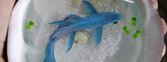 3 D  պատկերներ՝ ճապոնացի նկարչից