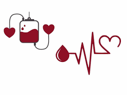 Արյան դոնորի համաշխարհային օրն է