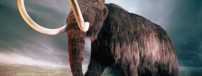 Մամոնտը  ապրել  է  40  000 տարի  առաջ