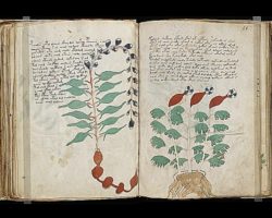 Վոյնիչի ձեռագիրը