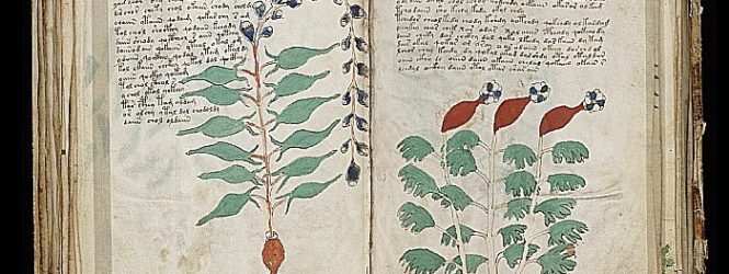 Վոյնիչի ձեռագիրը