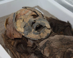 Աշխարհի ամենահին մումիաները Եգիպտոսում չեն եղել