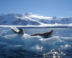 Գիտնականները պարզել են՝ որտեղ է մոլորակի ամենամաքուր օդը