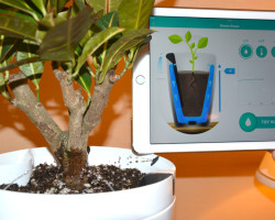 Parrot Pot կոչվող ծաղկաման