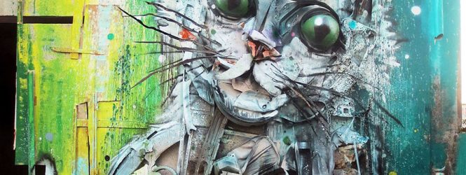 Կենդանիներ՝ աղբից